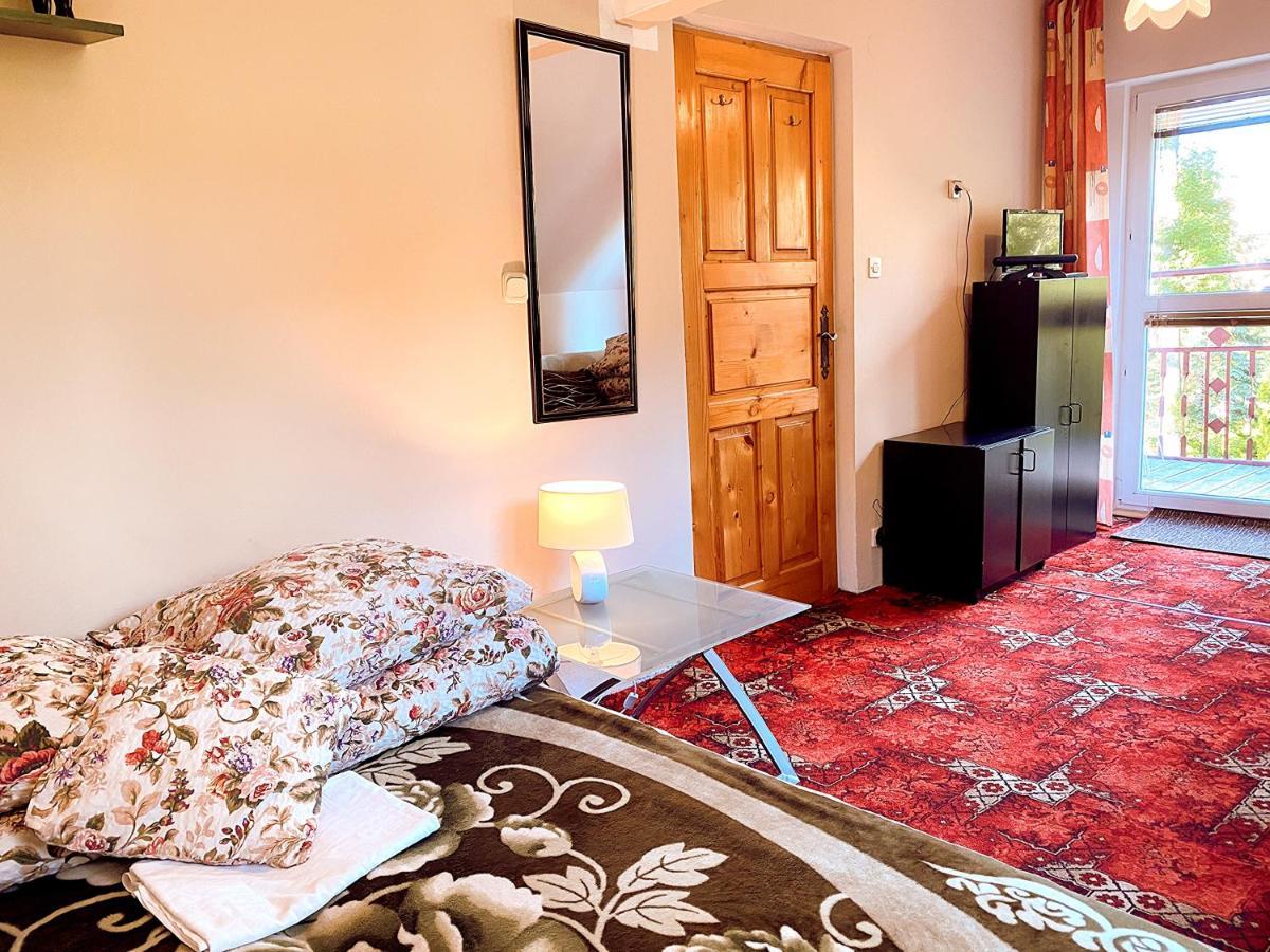 Villa Cecylia Zakopane Extérieur photo